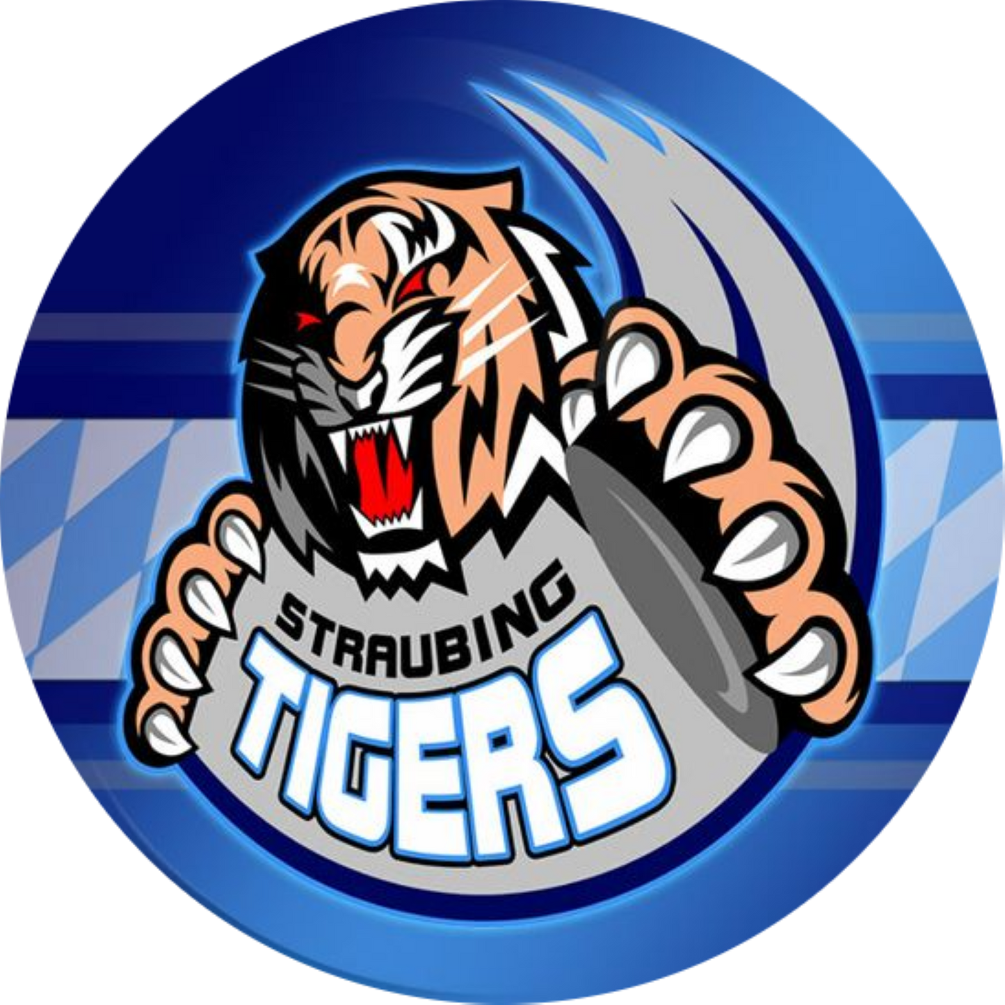 Nürnberg Ice Tigers DEL Eishockey