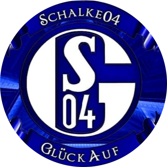 FC Schalke 04 Neu 2