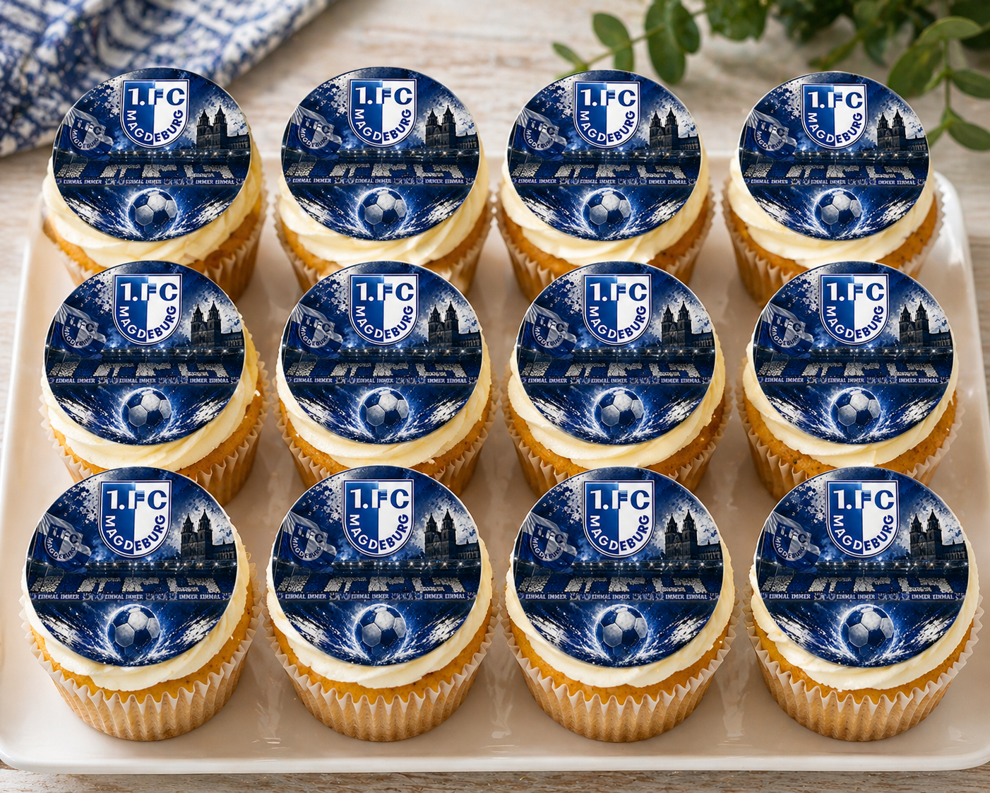 1. FC Magdeburg Muffinaufleger