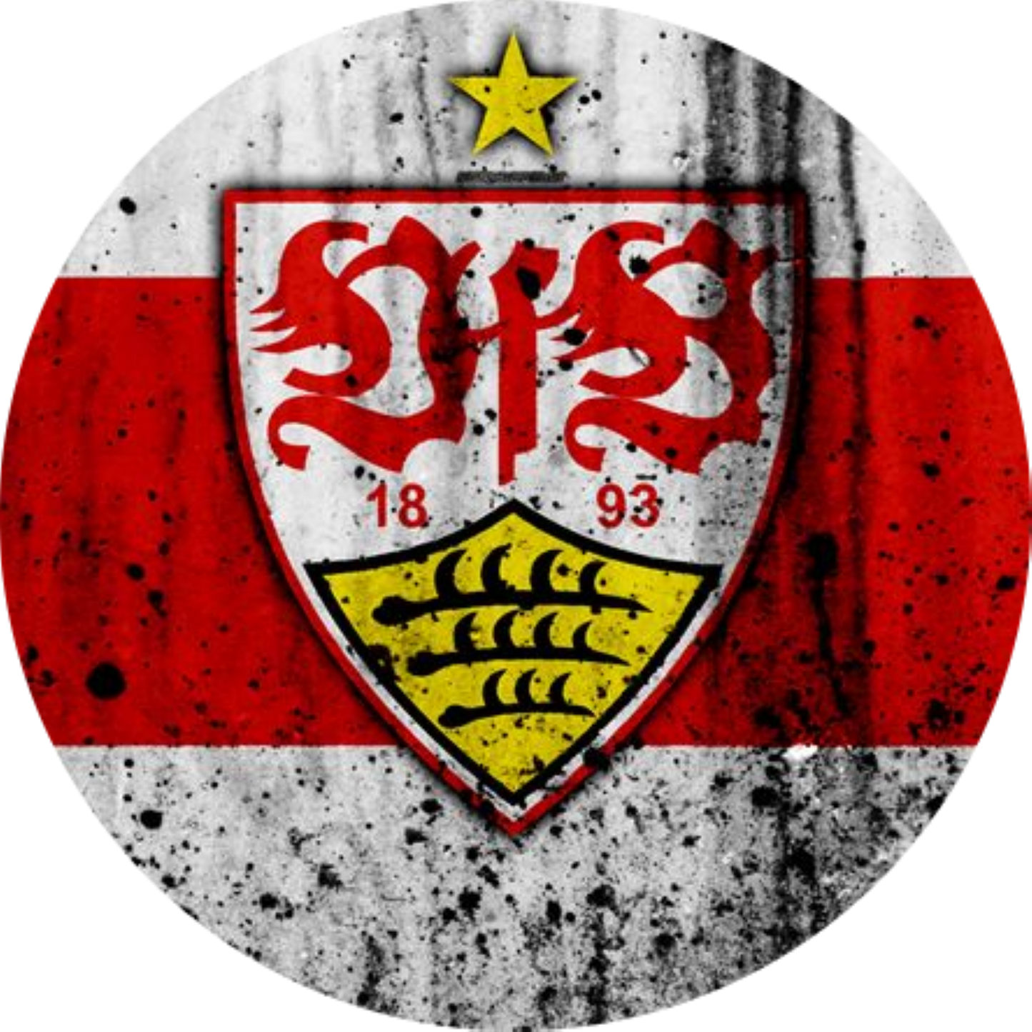 VFB Stuttgart Motiv 1