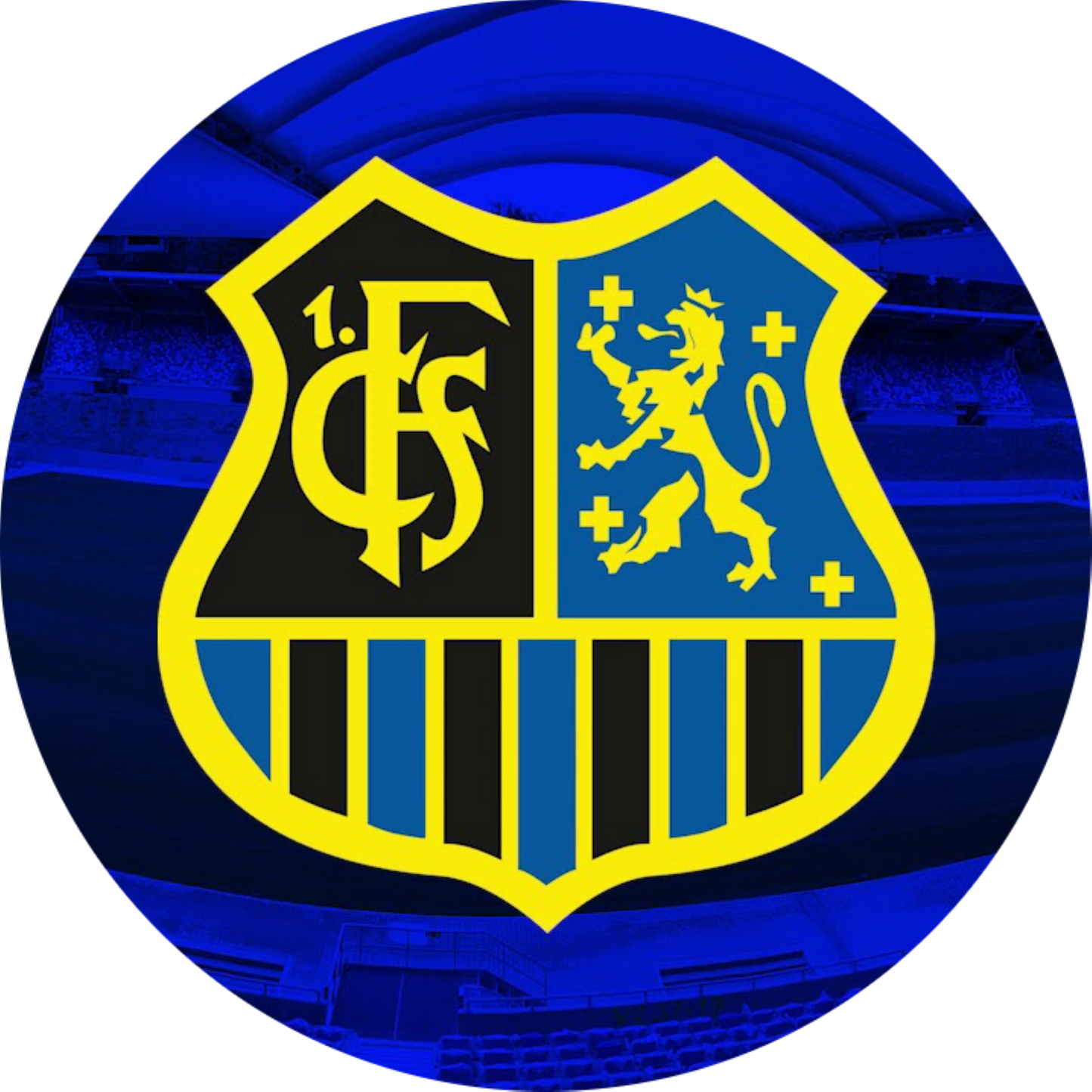 1.FC Saarbrücken Motiv 2