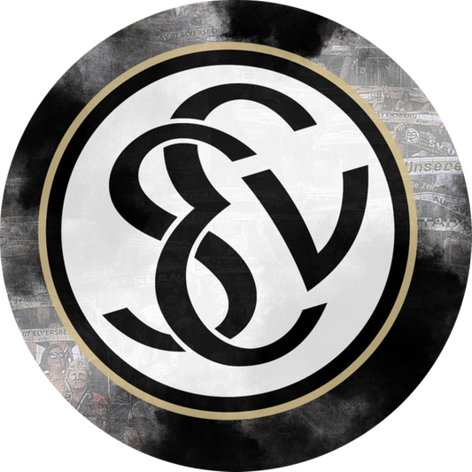 SV Elversberg Motiv 2