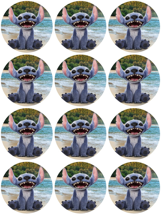 Stitch 2025 Muffinaufleger